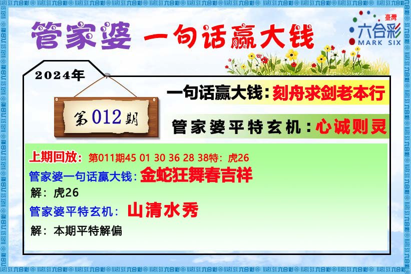 管家婆的资料一肖中特176期,全面说明解析_Lite58.669