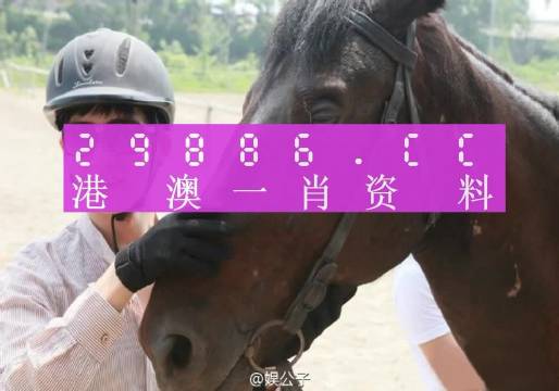 澳门小马哥一肖一码100,快速计划解答设计_OP77.457