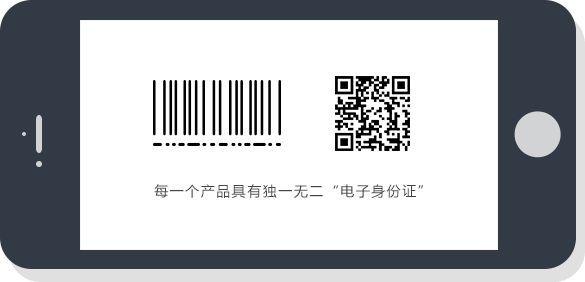 一肖一码一一肖一子深圳,快速设计响应方案_精装版60.539