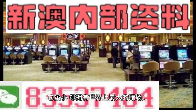 2024新澳门精准资料免费,持续设计解析方案_高级款31.110