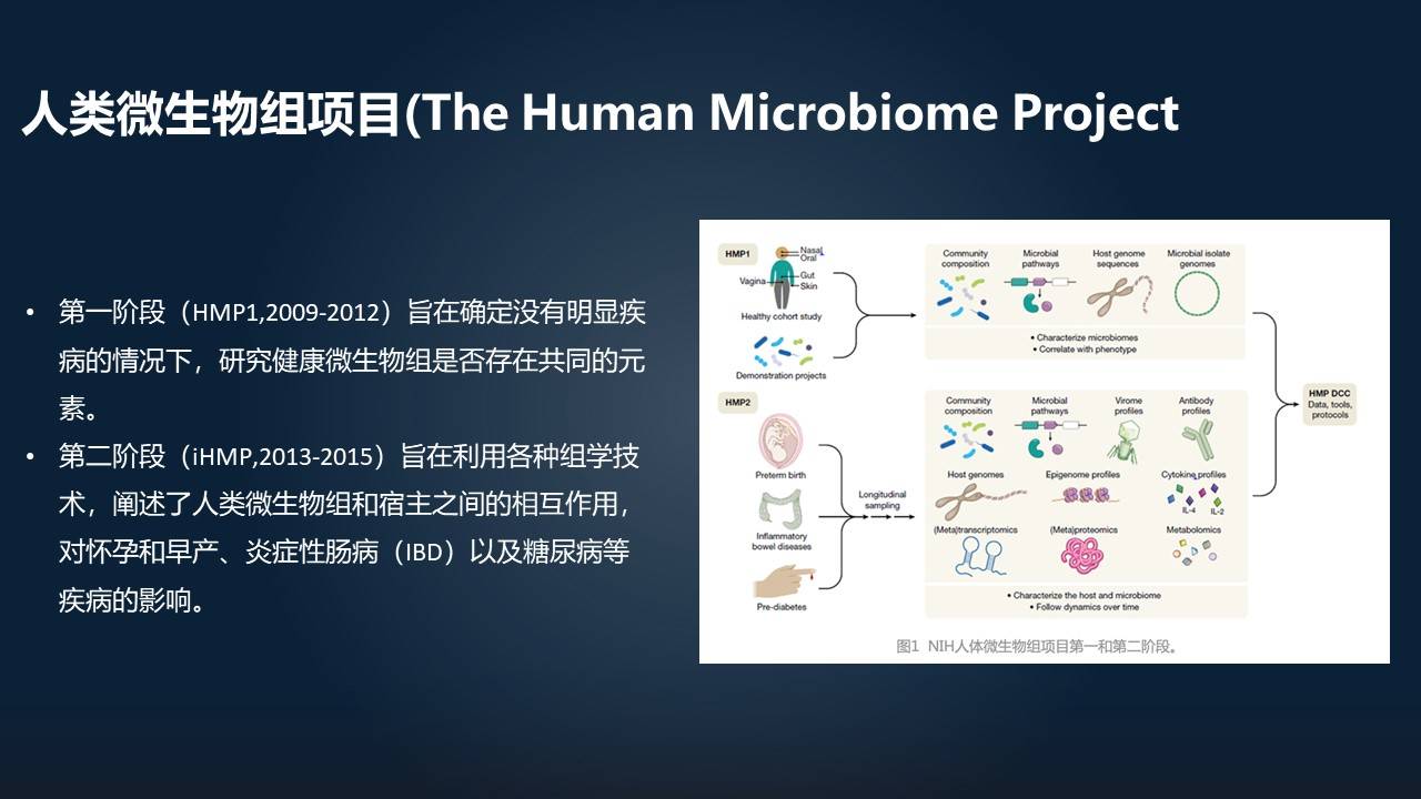 三肖必中三期必出三肖,前沿解答解释定义_DP43.206