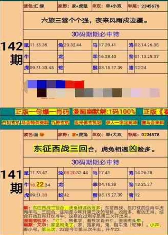 新澳门精准四肖期期准,适用计划解析_2D21.102