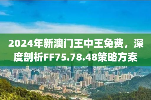 2024年新澳门王中王免费,战略优化方案_限量版12.246