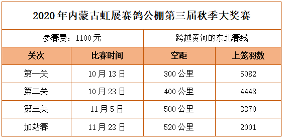 澳门平特一肖100%准确今天最新版,稳健性策略评估_开发版90.989