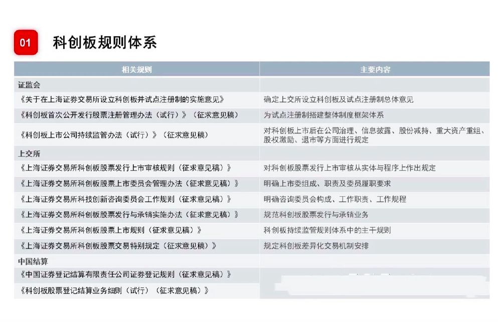 一肖最新精准资料,实地计划验证策略_专属版69.998