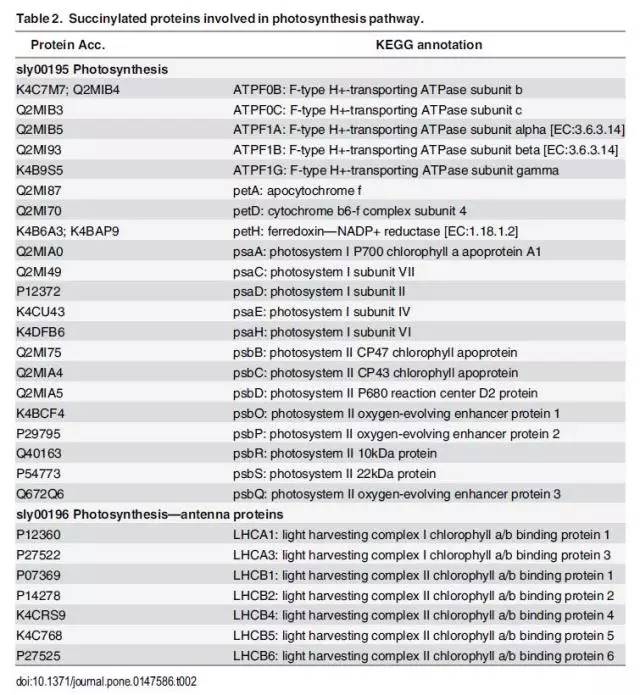 新澳门三肖六码期中免费资料,系统化评估说明_冒险版55.949