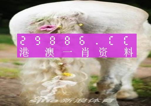 澳门必中一肖一码四不像,数据驱动分析决策_模拟版27.896