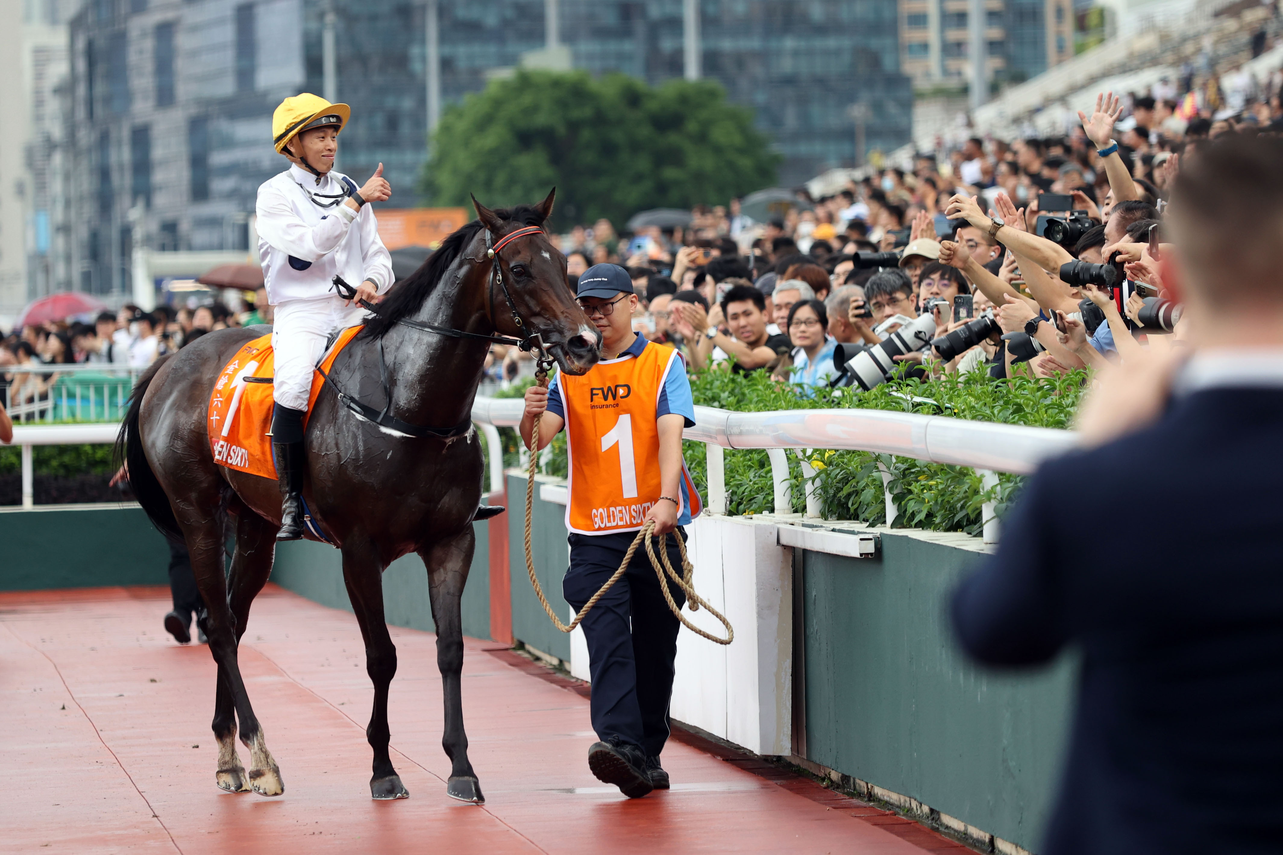 2024香港赛马全年免费资料,实效性计划设计_The41.709