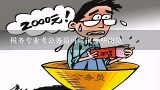 如何选择适合财务专业人士的公务员岗位