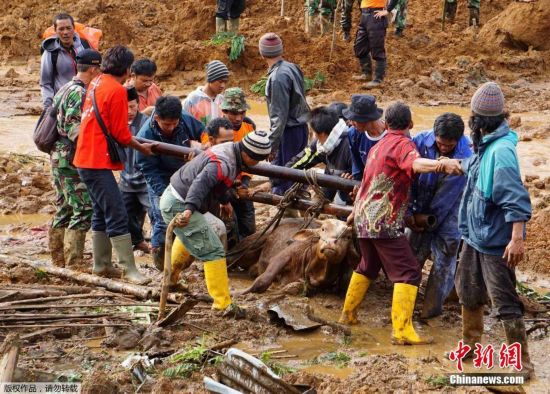 刚果（金）爆发不明疾病，近百人死亡