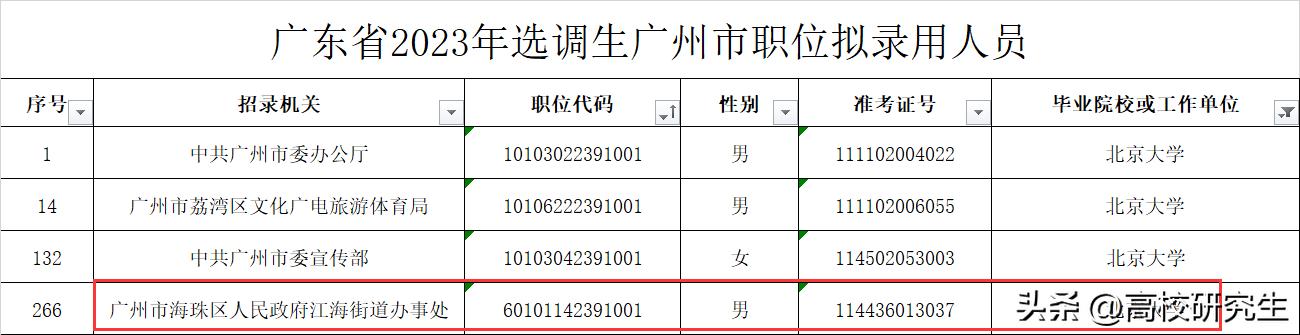 市直定向，事业单位招聘新解析