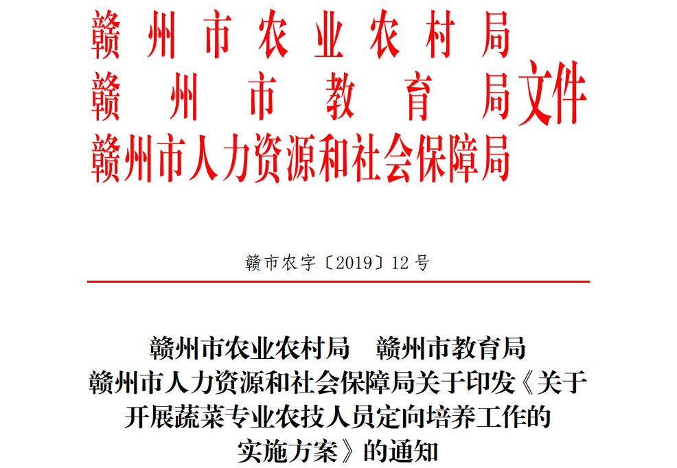 事业编信息技术岗，机遇与挑战，事业编信息技术，计算机、网络、数据，事业编信息技术，技能与能力，事业编信息技术，高效、准确支持