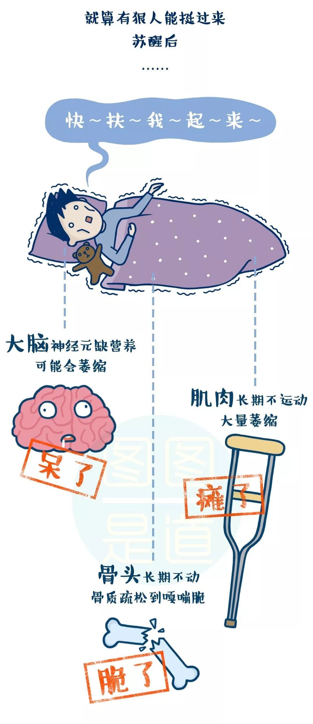 冬眠时人类是否还会做梦？