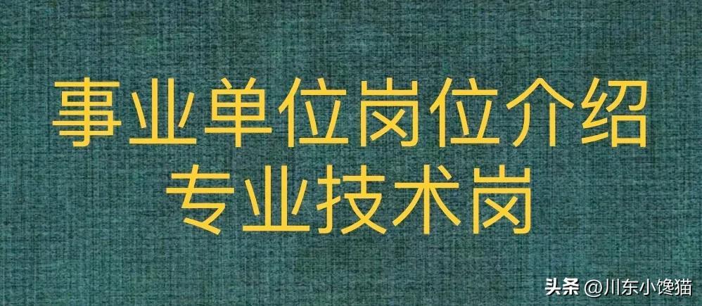 事业编管理岗位考试内容