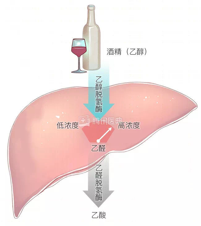 方案设计 第119页