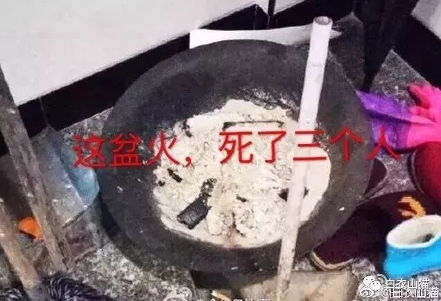 财神鱼死亡，男子起锅烧油含泪吃下