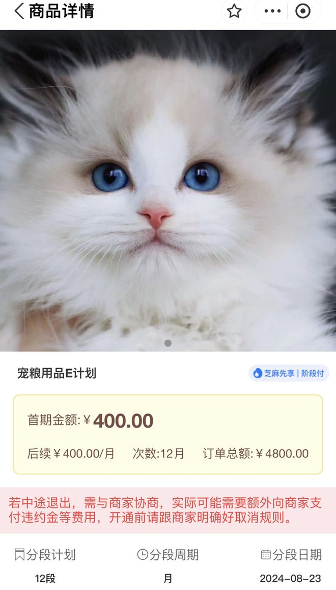 领养猫咪花费1.4万后拒付猫贷，被告面临法律后果