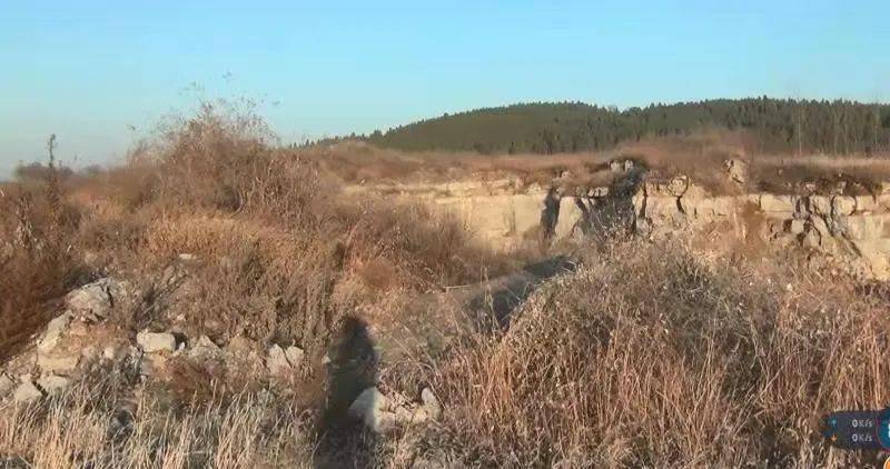 黑龙江黑悟空雪雕修复后苹果肌变小