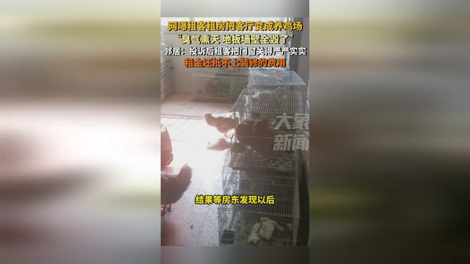 租客在客厅养鸡引发争议